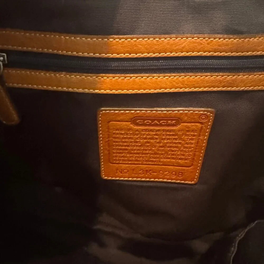 Coach Ergo Multicolor Striped Leather Hobo Bag